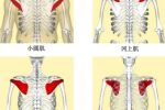 邱博士談武學(xué)：武學(xué)中小肌肉群、小關(guān)節(jié)與人體穩(wěn)定性