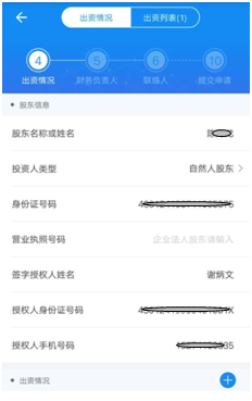 出資情況填寫(xiě)