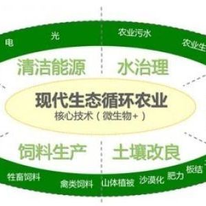 辦一個生態(tài)循環(huán)養(yǎng)殖農(nóng)場需要什么手續(xù)？申請流程是什么？