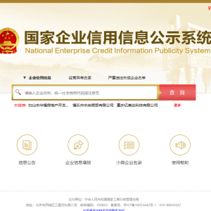 企業(yè)年報(bào)其他自行公式信息填報(bào)操作說明-【國(guó)家企業(yè)信用信息公示系統(tǒng)】