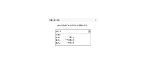 選擇需要進行身份認證的所屬服務機構(gòu)