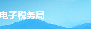 湖南省電子稅務(wù)局證件增補(bǔ)發(fā)操作流程說明