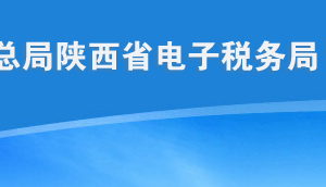 陜西省電子稅務局常見問題匯總