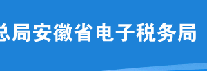 安徽省電子涉稅專業(yè)服務業(yè)務信息采集（年度報告）申報操作說明