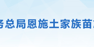 恩施市稅務局辦稅服務廳辦公地址時間及咨詢電話