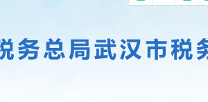 武漢東湖新技術開發(fā)區(qū)稅務局辦稅服務廳辦公地址時間及咨詢電話