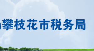 攀枝花釩鈦高新技術產業(yè)開發(fā)區(qū)稅務局辦稅服務廳地址及聯(lián)系電話