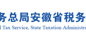 安徽省稅務局增值稅一般納稅??人登記辦事指南