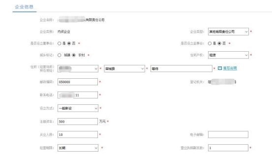 根據(jù)提示填寫企業(yè)名稱的“四段式”內(nèi)容