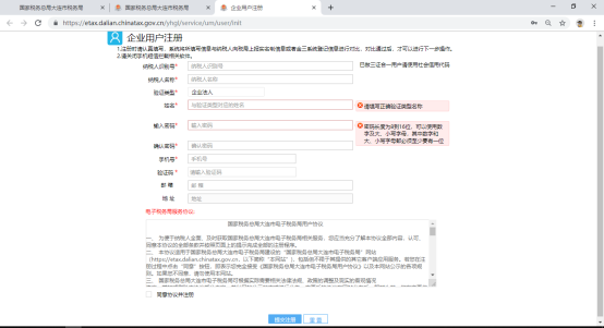 企業(yè)納稅人注冊(cè)界面