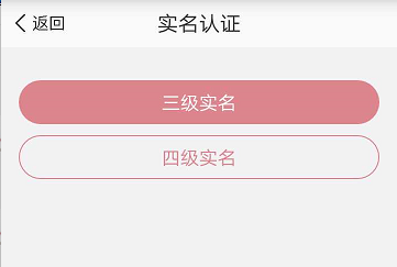 實(shí)名等級(jí)