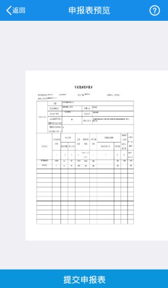 生成申報(bào)表