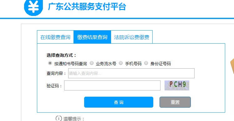 繳費結(jié)果查詢