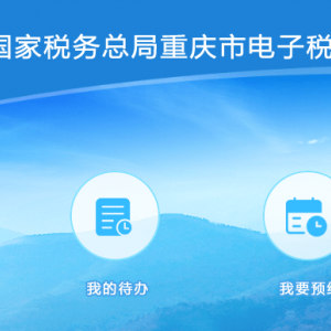 重慶市電子稅務(wù)局兩證整合個(gè)體工商戶清稅申報(bào)流程說明