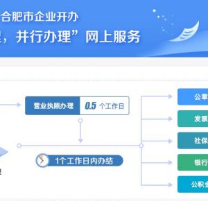 合肥市企業(yè)開辦“一窗受理，并行辦理”網(wǎng)上服務(wù)平臺(tái)公司注冊(cè)操作指南