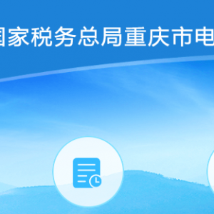 重慶市電子稅務(wù)局專項業(yè)務(wù)報告要素信息采集指南