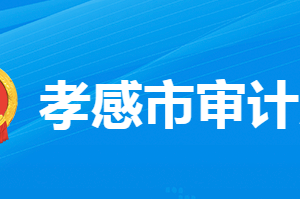 孝感市審計(jì)局各部門工作時間及聯(lián)系電話