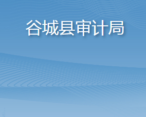 谷城縣審計(jì)局各部門聯(lián)系電話及辦公地址