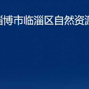 淄博市臨淄區(qū)自然資源局各部門對外聯(lián)系電話