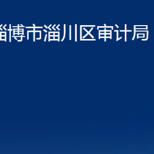 淄博市淄川區(qū)審計局各服務(wù)中心聯(lián)系電話