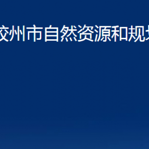 膠州市自然資源和規(guī)劃局各部門辦公時(shí)間及聯(lián)系電話