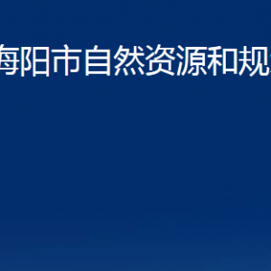 海陽市自然資源和規(guī)劃局各部門對外聯(lián)系電話