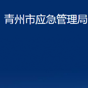 青州市應(yīng)急管理局各部門對(duì)外聯(lián)系電話