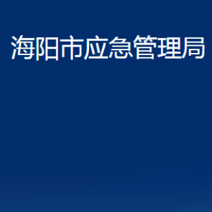 海陽(yáng)市應(yīng)急管理局各部門(mén)對(duì)外聯(lián)系電話