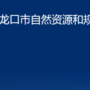 龍口市自然資源和規(guī)劃局各部門對(duì)外聯(lián)系電話