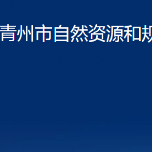 青州市自然資源和規(guī)劃局各部門對外聯系電話