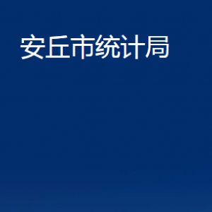 安丘市統(tǒng)計局各部門職責(zé)及聯(lián)系電話