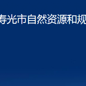 壽光市自然資源和規(guī)劃局各部門職責及對外聯(lián)系電話