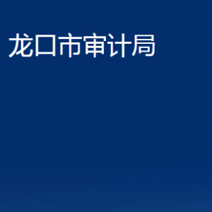 龍口市審計(jì)局各部門(mén)對(duì)外聯(lián)系電話(huà)