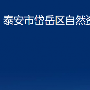 泰安市岱岳區(qū)自然資源局各部門(mén)職責(zé)及聯(lián)系電話(huà)