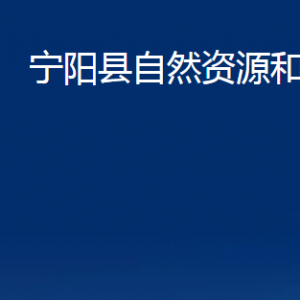 寧陽(yáng)縣自然資源和規(guī)劃局各部門對(duì)外聯(lián)系電話