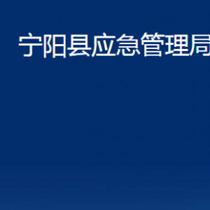 寧陽(yáng)縣應(yīng)急管理各部門(mén)對(duì)外聯(lián)系電話