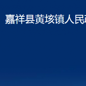 嘉祥縣黃垓鎮(zhèn)政府為民服務中心對外聯(lián)系電話及地址