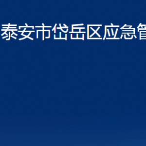 泰安市岱岳區(qū)應(yīng)急管理局各部門職責(zé)及聯(lián)系電話