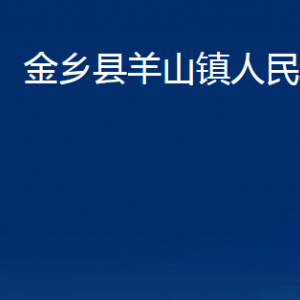 金鄉(xiāng)縣羊山鎮(zhèn)政府為民服務(wù)中心對(duì)外聯(lián)系電話(huà)及地址