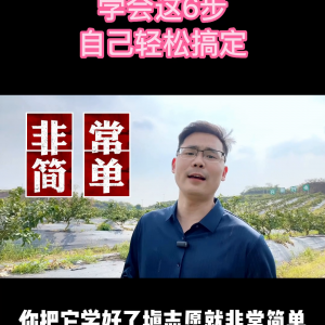 高考志愿填報(bào)“六步法”，家長(zhǎng)只需要按照這六步就可填報(bào)滿意的高考志愿