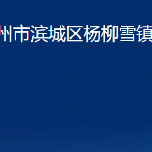 濱州市濱城區(qū)楊柳雪鎮(zhèn)政府各部門辦公時間及聯(lián)系電話