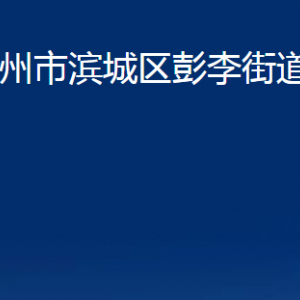 濱州市濱城區(qū)彭李街道各部門辦公時(shí)間及聯(lián)系電話