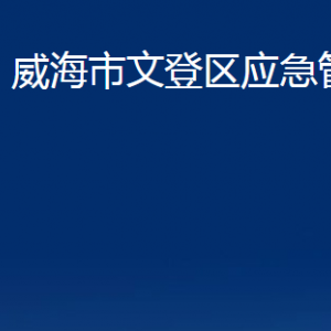 威海市文登區(qū)應(yīng)急管理局各部門(mén)對(duì)外聯(lián)系電話(huà)