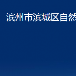 濱州市濱城區(qū)自然資源局各部門(mén)職責(zé)及對(duì)外聯(lián)系電話(huà)