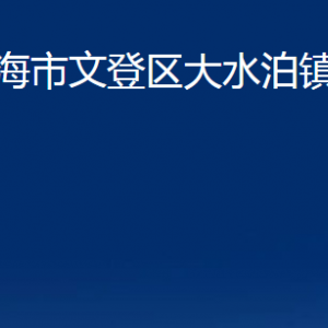 威海市文登區(qū)大水泊鎮(zhèn)政府各部門對(duì)外聯(lián)系電話