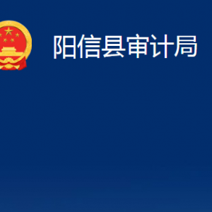 陽信縣審計局各部門職責及對外聯(lián)系電話辦公時間