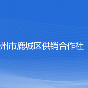 溫州市鹿城區(qū)供銷合作社各部門(mén)負(fù)責(zé)人和聯(lián)系電話