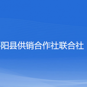 平陽縣供銷合作社聯(lián)合社各部門負責人和聯(lián)系電話