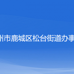 溫州市鹿城區(qū)松臺街道辦事處各部門負責人和聯(lián)系電話