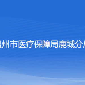 溫州市醫(yī)療保障局鹿城分局各部門負責(zé)人和聯(lián)系電話